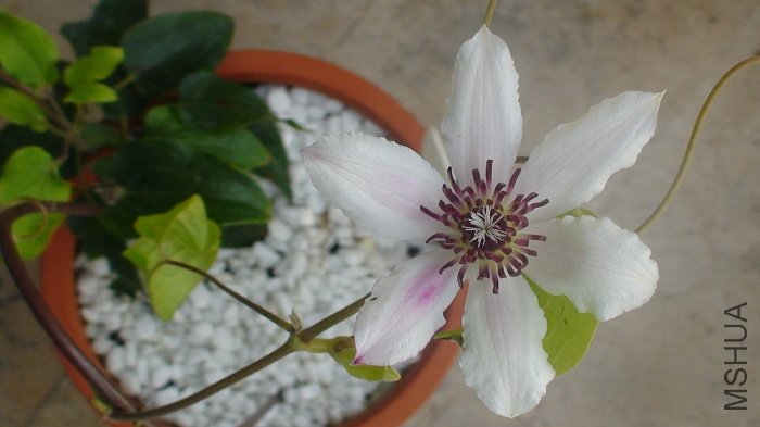 ����ȫ���գ���С�����Ի�ҲС��