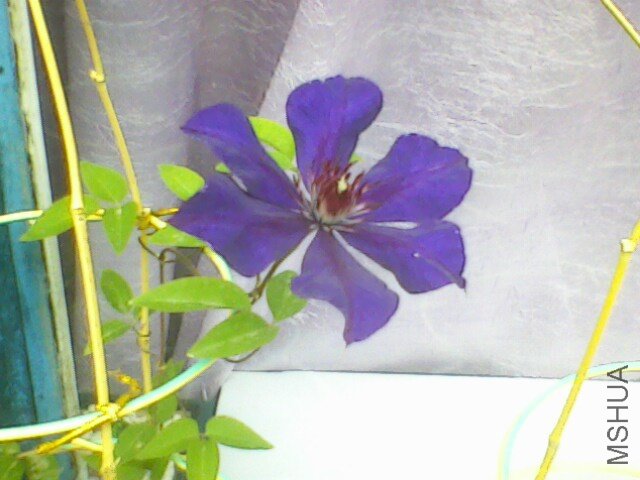 IMG0013A.jpg