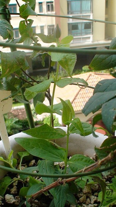 7-6��, ǳ��������ѿ�ϵĶ����Ѿ���������!