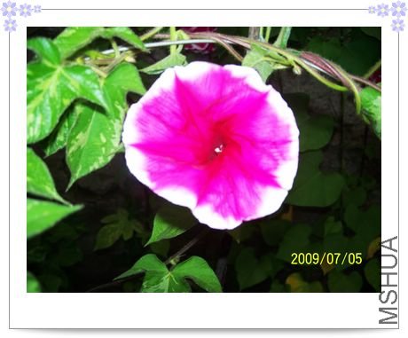 ����-�� 015.jpg