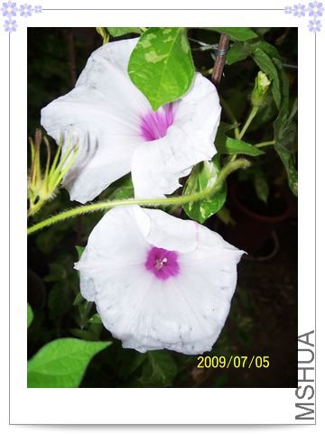 ����-��֮�� 012.jpg