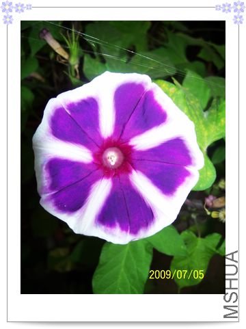 ������ʿ�� 018.jpg