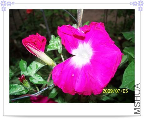 ����-��֮�� 005.jpg