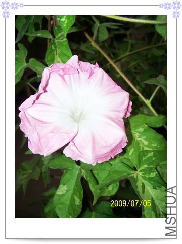 ������֮�� 019.jpg