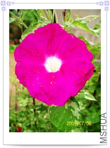 ��֮�� 025.jpg