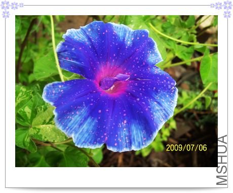 ������ 036.jpg