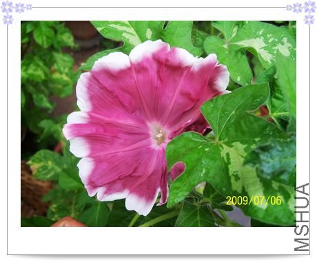 ��֮�� 031.jpg