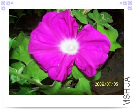 ���տ��� 017.jpg