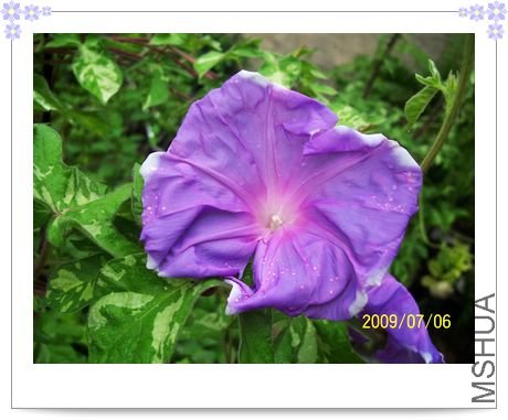 ���� 023.jpg