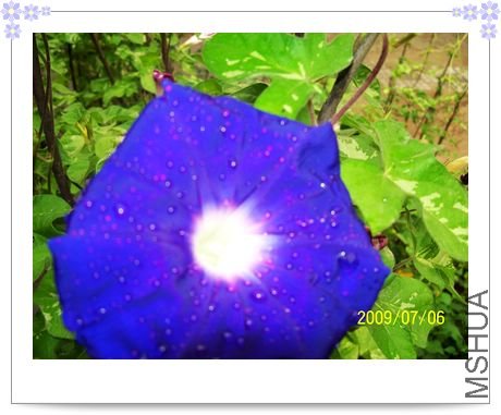 ��֮�� 022.jpg