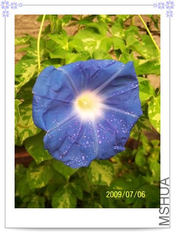 ��֮�� 033.jpg