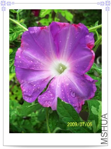 ������ȥ�걻�ӽ��ˣ���ô��ɫ������������ȫ������ɫ