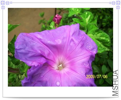 ƽ��֮Ȫ 029.jpg