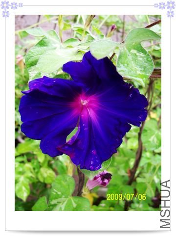 ��֮�� 037.jpg