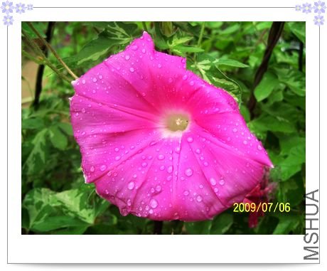 ǳ�۰ױ� 021.jpg