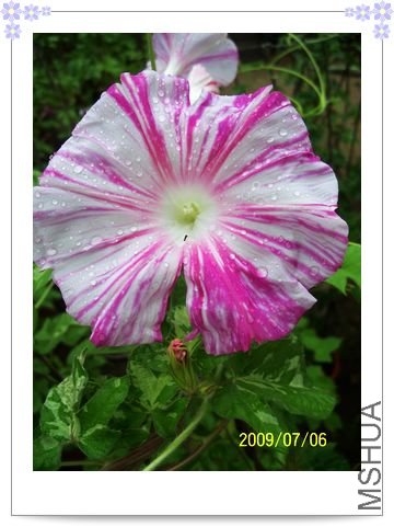 ���ƽ��� 038.jpg