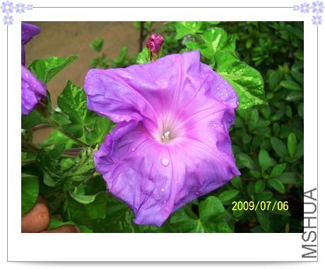 ƽ��֮Ȫ 030.jpg