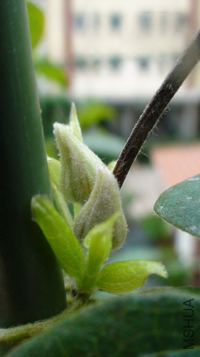 ���һ���磬Ҳ������ͼ�����裨ĸ�꣩��Ҳ���˻���������������Ҫ��ö�����