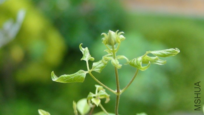 �������²������棬���ھ�ȻҲ���˻��٣�