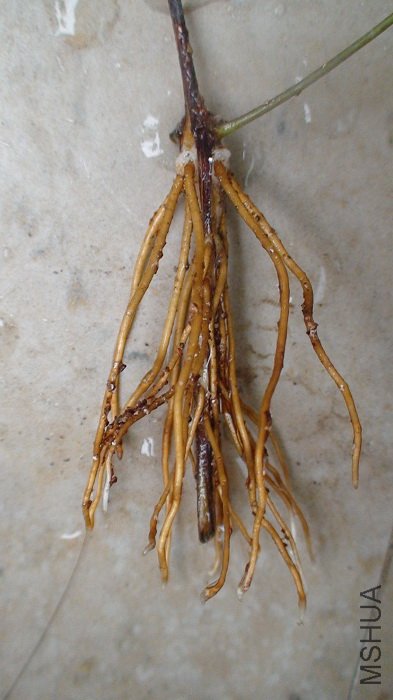 ���˻��ٵľ�����������õ�һ�ã�