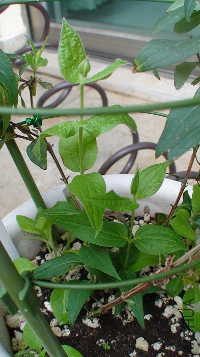 ��ѿ�Ѿ����٣�