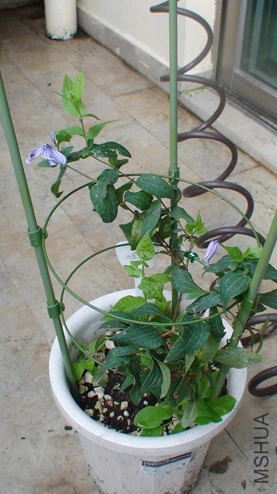 �������Ѿ�Խ��ԽС���̲�ס������ӡ���������������ӣ�