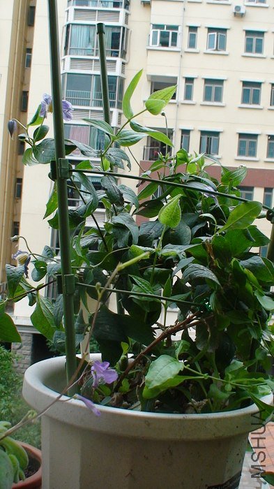 ���ڿ�����һֱ�������ϣ���5-30�տ��������ڣ��Ѿ�һ����������