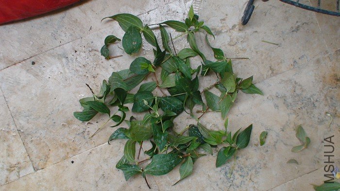 �޼���һ�£�׼����Ǥ�����ԣ����Ʒ��ʵ����̫��������ӭԤ������