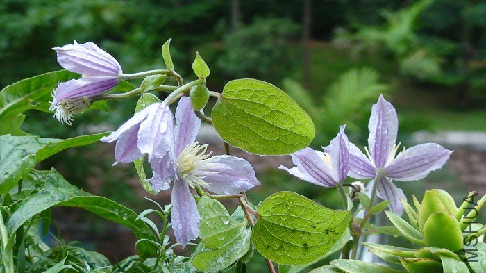 ���������������¹��꣬�����϶���ˮ�飡