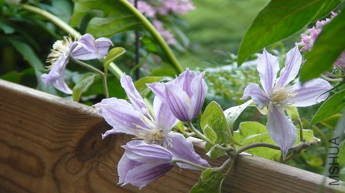 ����������һ�ѣ�ֻ�ǰѲл����ˣ�����һ���Ӿ͸ɾ����ˣ�