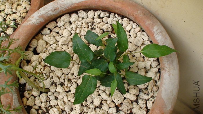 3-25�գ������ĵڶ���Ͱѻ������ˣ�����һֱ3���¹�ȥ�ˣ�����һֱ��������ӣ��ͳ��ˡ�����