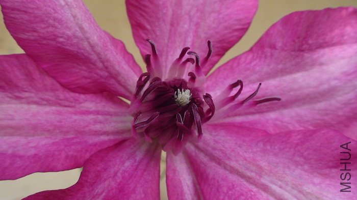 �������������дһ�£�