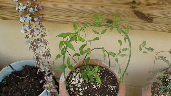 7-6�գ��о����ͻ���ͦ�����ģ�׼����������̫���õ�ĵط������������������ٿ�������