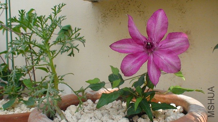 ��������Ǻܰ�����