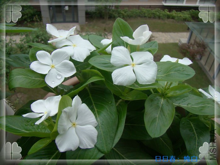 ���׵Ŀ��е��ģ��