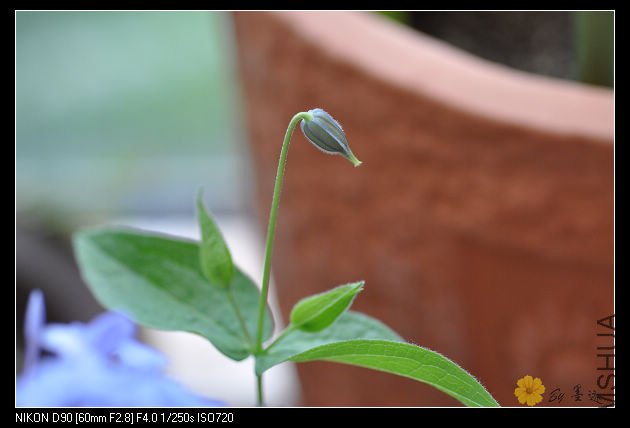 nEO_IMG_��Ƭ 020.jpg