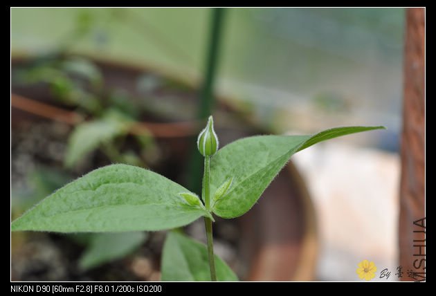 nEO_IMG_��Ƭ 018.jpg