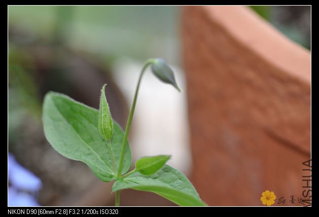 nEO_IMG_��Ƭ 019.jpg