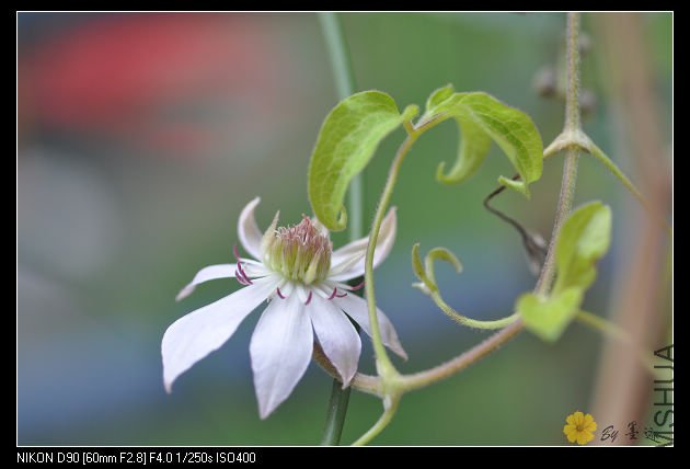 nEO_IMG_��Ƭ 022.jpg