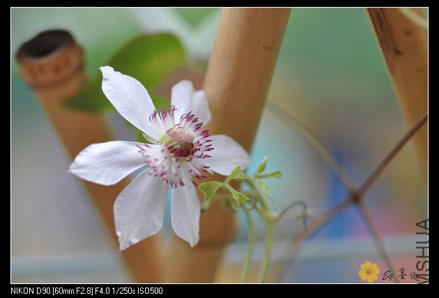 nEO_IMG_��Ƭ 021.jpg