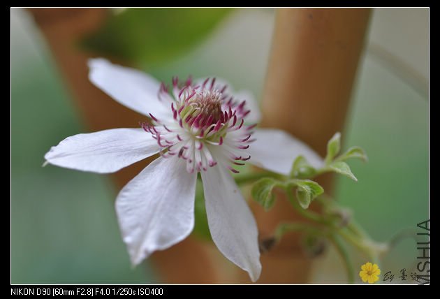 nEO_IMG_��Ƭ 023.jpg