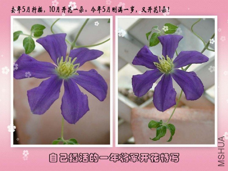 ������дһ��!