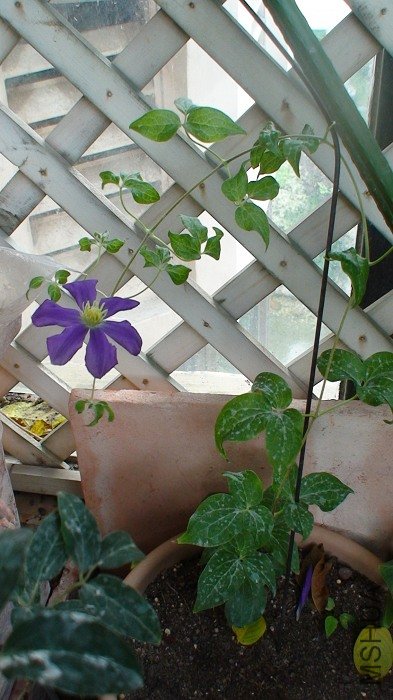 ͬһ������, �����5-25���ٴο���, ������Ҫ�ٴ�Щ, Ҳ����Щ!