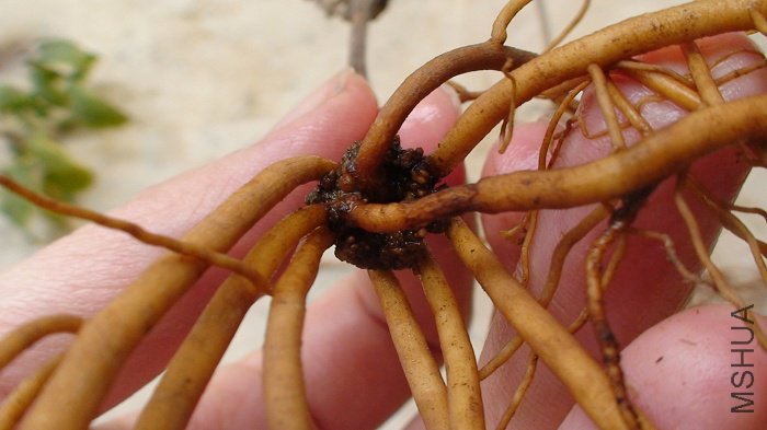 08��5���޼�֦��Ǥ��, ����10�¿���, ����1-2�ջ���ʱ�ĸ�����д!