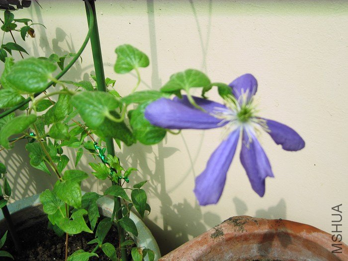 ��дһ��! ����������С��!