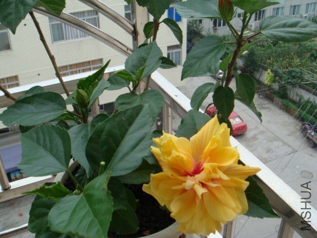 DSC00403.JPG