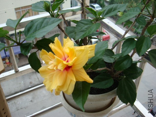 DSC00402.JPG