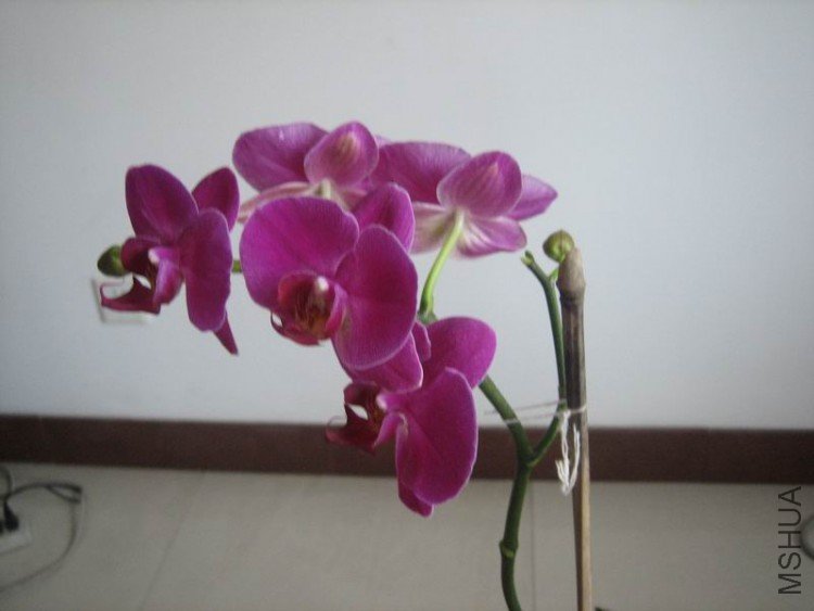 ��Ƭ 057.jpg
