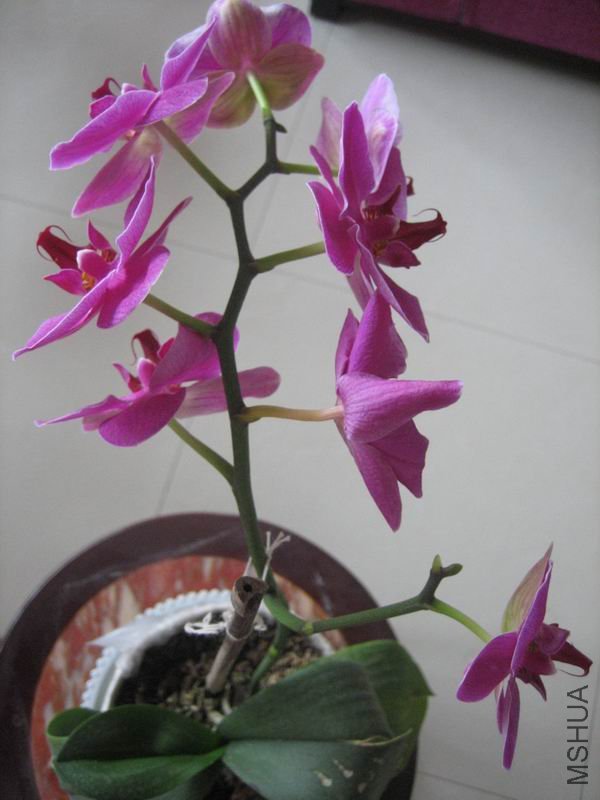 ��Ƭ 066.jpg