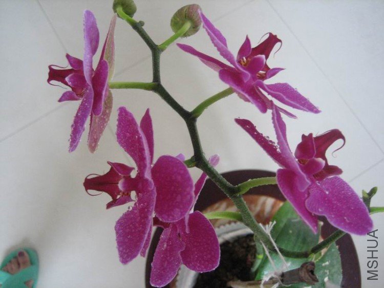 ��Ƭ 059.jpg